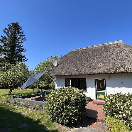 Ferienhaus Ilva In Born Villa Esterno foto