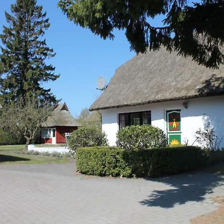 Ferienhaus Ilva In Born Villa Esterno foto